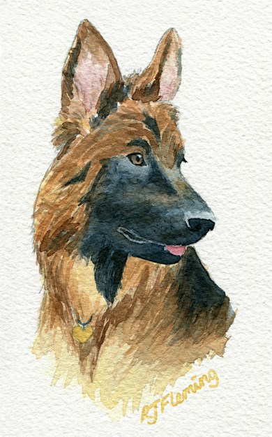 German Shepherd 3/4 Profile Watercolour Demo
